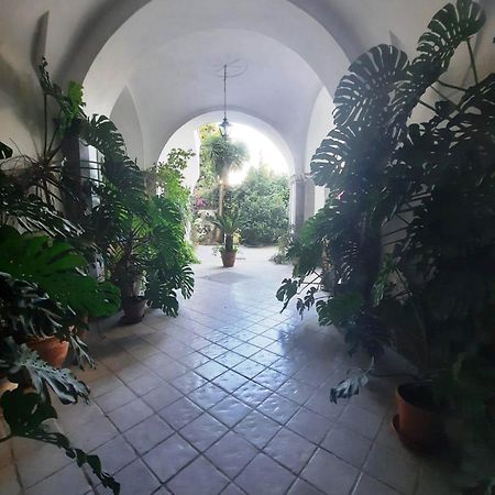 La Casa Delle Camelie Hotel Meta Exterior foto
